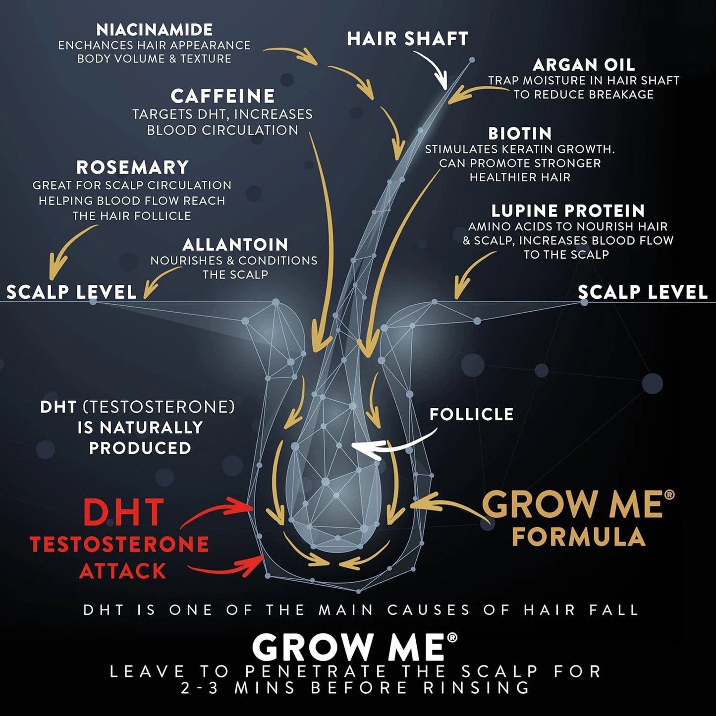 Grow Me Shampoo - Biotin, Rosemary, Caffeine, Niacinamide, Argan Oil, Allantoin.